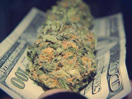 Cannabis_And_Cash1