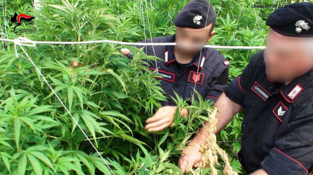 carabinieri-ragusa-cannabis-ganjanauta-compressor (1)