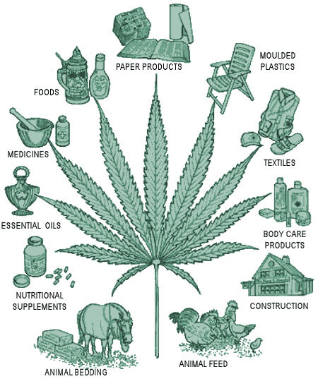usi-cannabis-canapa-industriale-ganjanauta