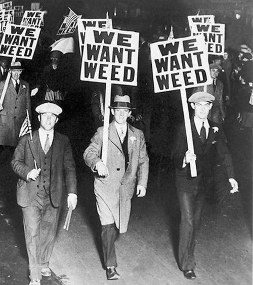 we want