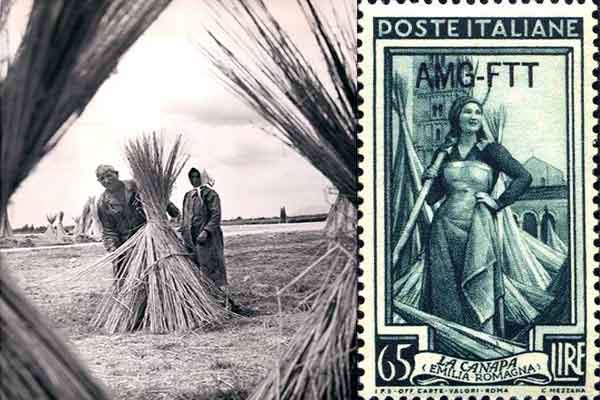 Un francobollo del 1950 che commemora la canapa in Italia