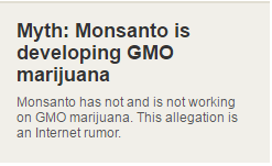 Marijuana OGM Monsanto