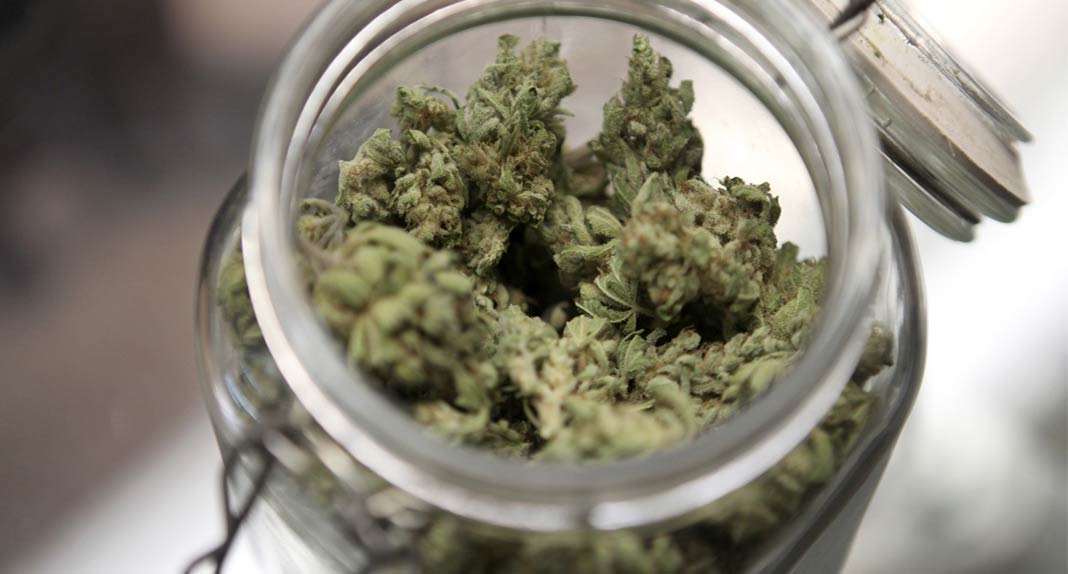 Qual è il modo migliore di conservare la cannabis? – Il Ganjanauta