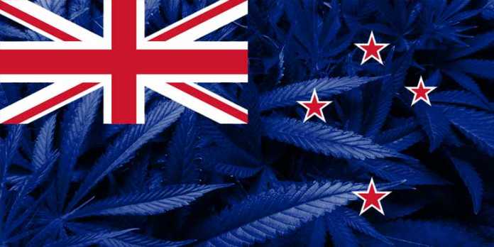 nuova-zelanda-cannabis-legale Referendum per la legalizzazione della cannabis in Nuova Zelanda