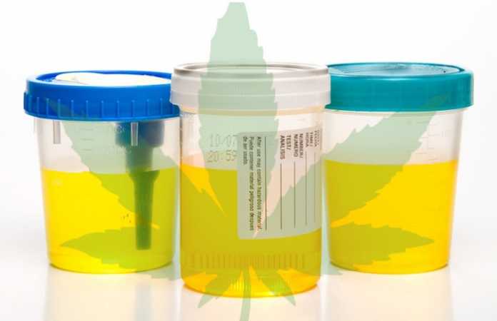 test-thc-urine