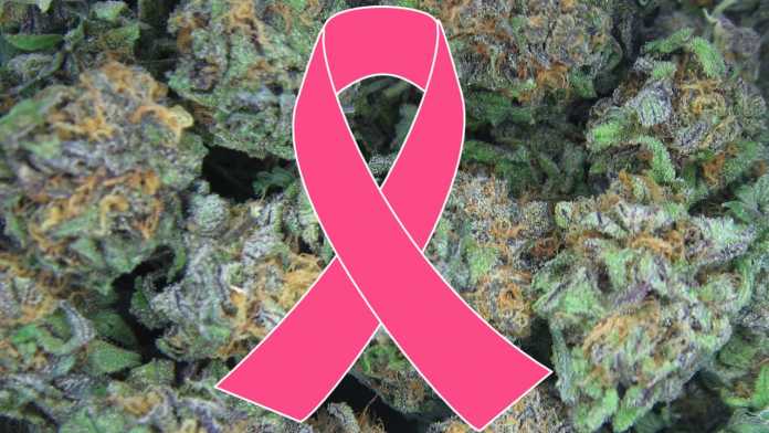 cannabis-cancro al seno-min