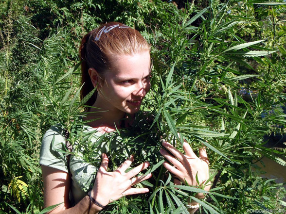 Cannabis e trattamento in chemioterapia