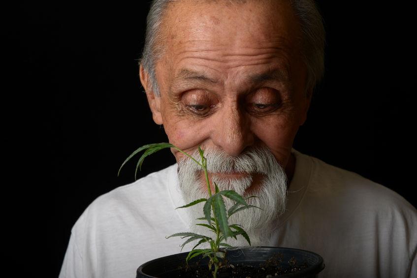 Anziano ed una pianta di cannabis